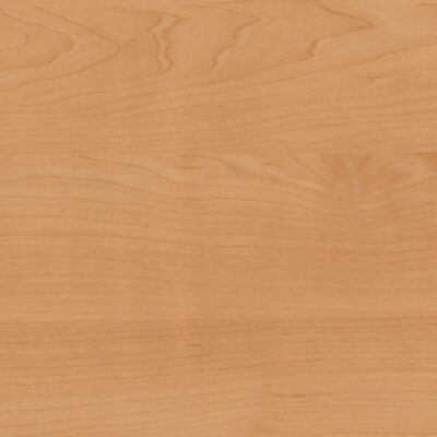16.Birke rose