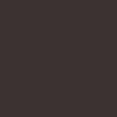 RAL8019-1